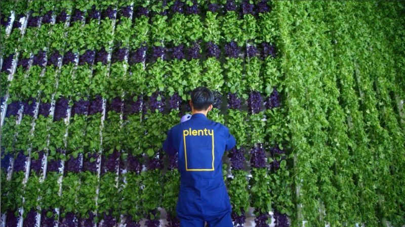 توسعه مزرعه عمودی که 360 برابر مزارع عادی بازدهی دارد توسعه مزرعه عمودی