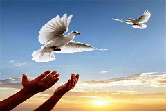 آزادی ۱۲ زندانی در اردبیل توسط خواننده موسیقی پاپ