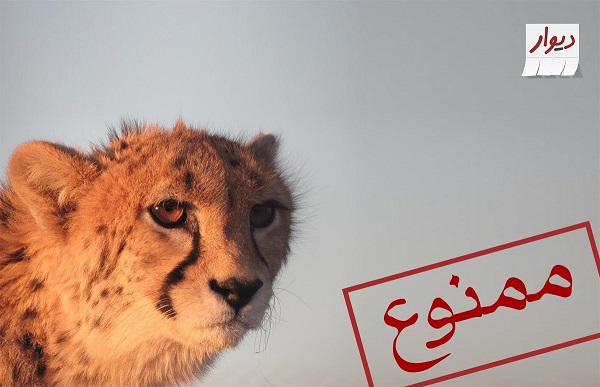 ممنوعیت فروش گونههای حیات وحش روی دیوار ممنوعیت فروش گونههای حیات وحش روی دیوار