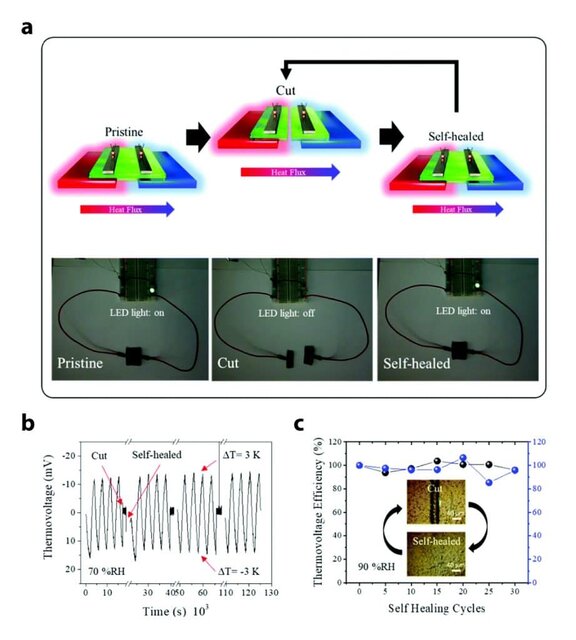 توسعه نخستین ماده ترموالکتریک با راندمان بالا در جهان توسعه نخستین ماده ترموالکتریک