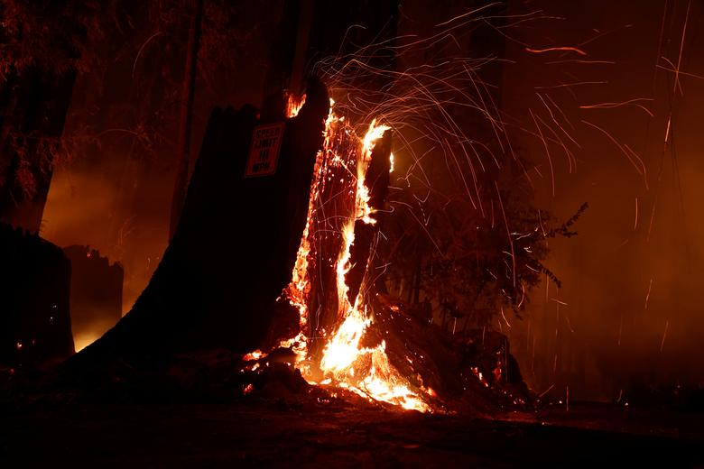 آتشسوزی کالیفرنیا/ از تخلیه خانه تا کمک ارتش (+عکس) آتشسوزی کالیفرنی