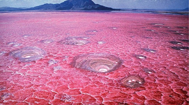 دریاچه ناترون