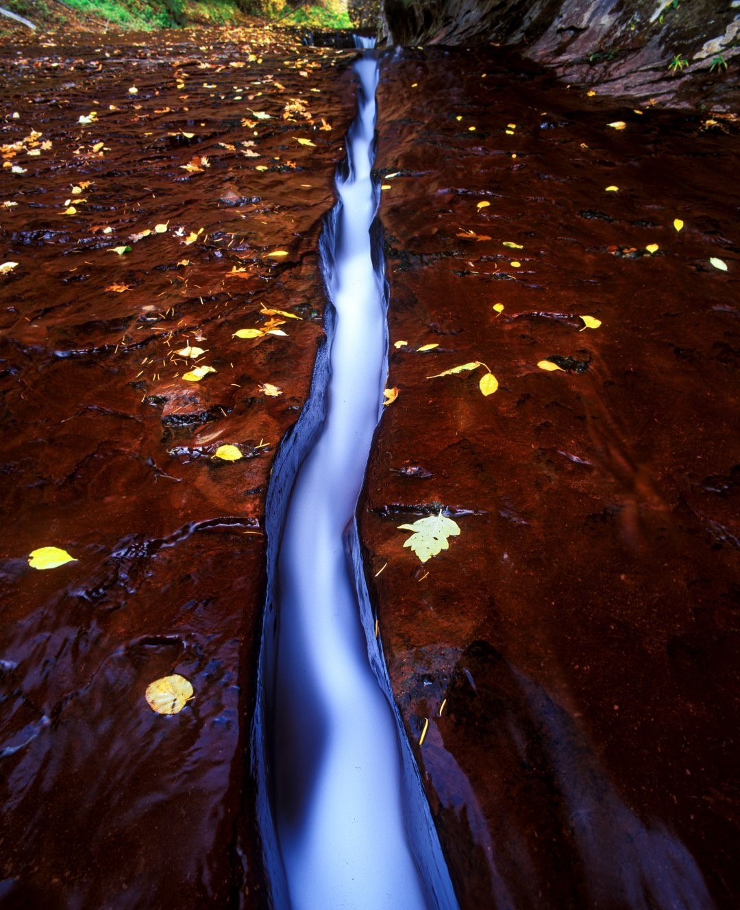 پدیده طبیعی روبان (+عکس) پدیده طبیعی روبان