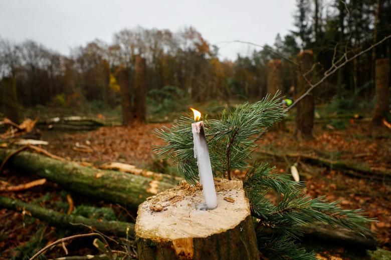 معترضان به ساخت بزرگراه در میان جنگل‌های آلمان (+عکس)