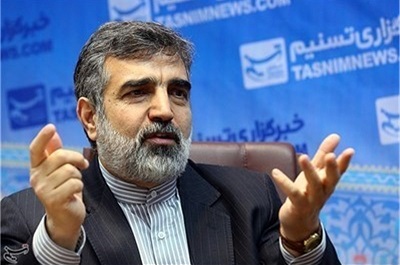 سازمان انرژی اتمی: عدم اجرای پروتکل الحاقی باعث ابهام برنامه هسته ای ایران می شود