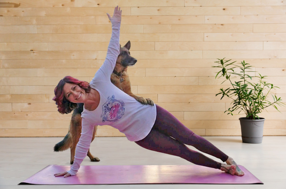 یوگا در کنار سگها از نتایج شیوع کرونا یوگا در کنار سگها