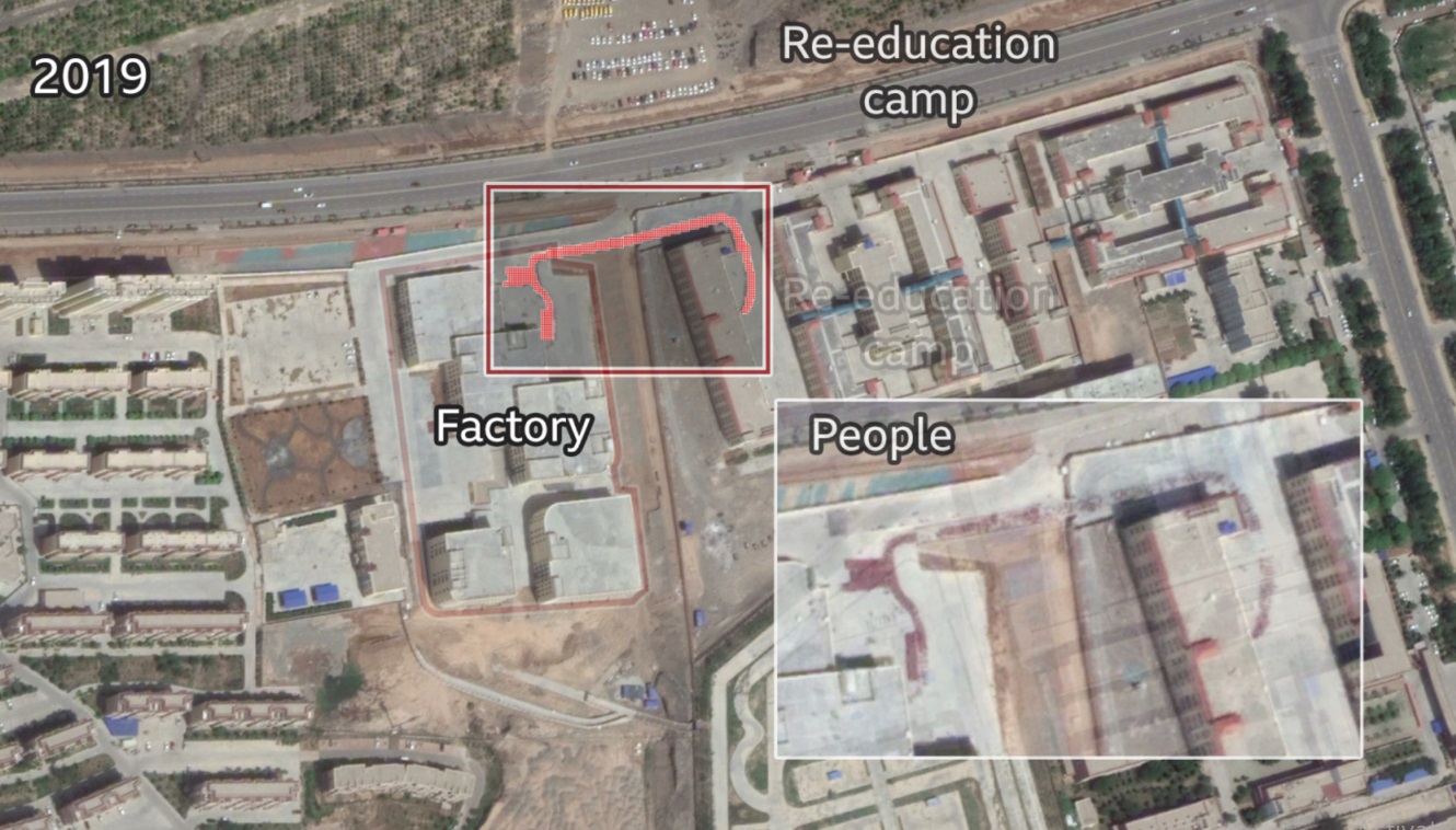 کار اجباری مسلمانان اویغور در مزارع ننگین پنبه چین کار اجباری مسلمانان اویغور در مزارع ننگین پنبه چین