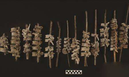 کشف تاریخی جالب درباره مردگان اینکا کشف تاریخی جالب درباره مردگان اینکا