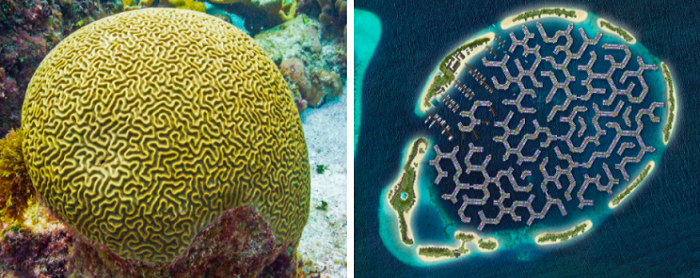 نخستین شهر شناور جهان مالدیو را از افزایش سطح آب دریا نجات میدهد نخستین شهر شناور جهان مالدیو را از افزایش سطح آب دریا نجات میدهد