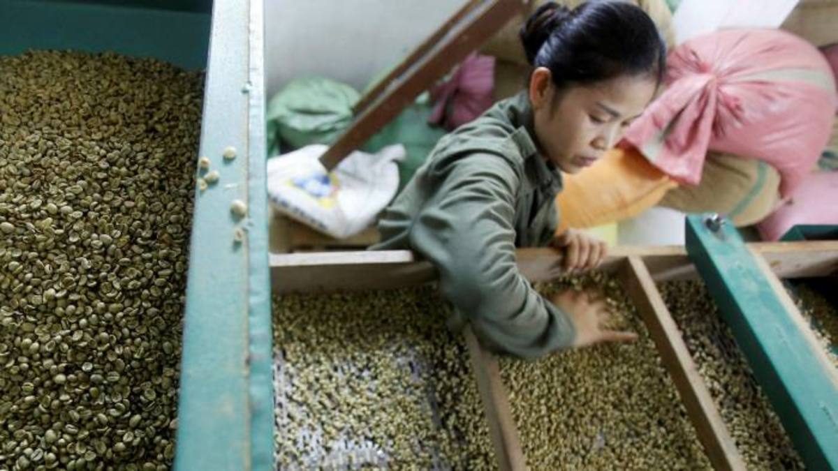 کرونا در ویتنام؛ گران شدن قهوه در جهان