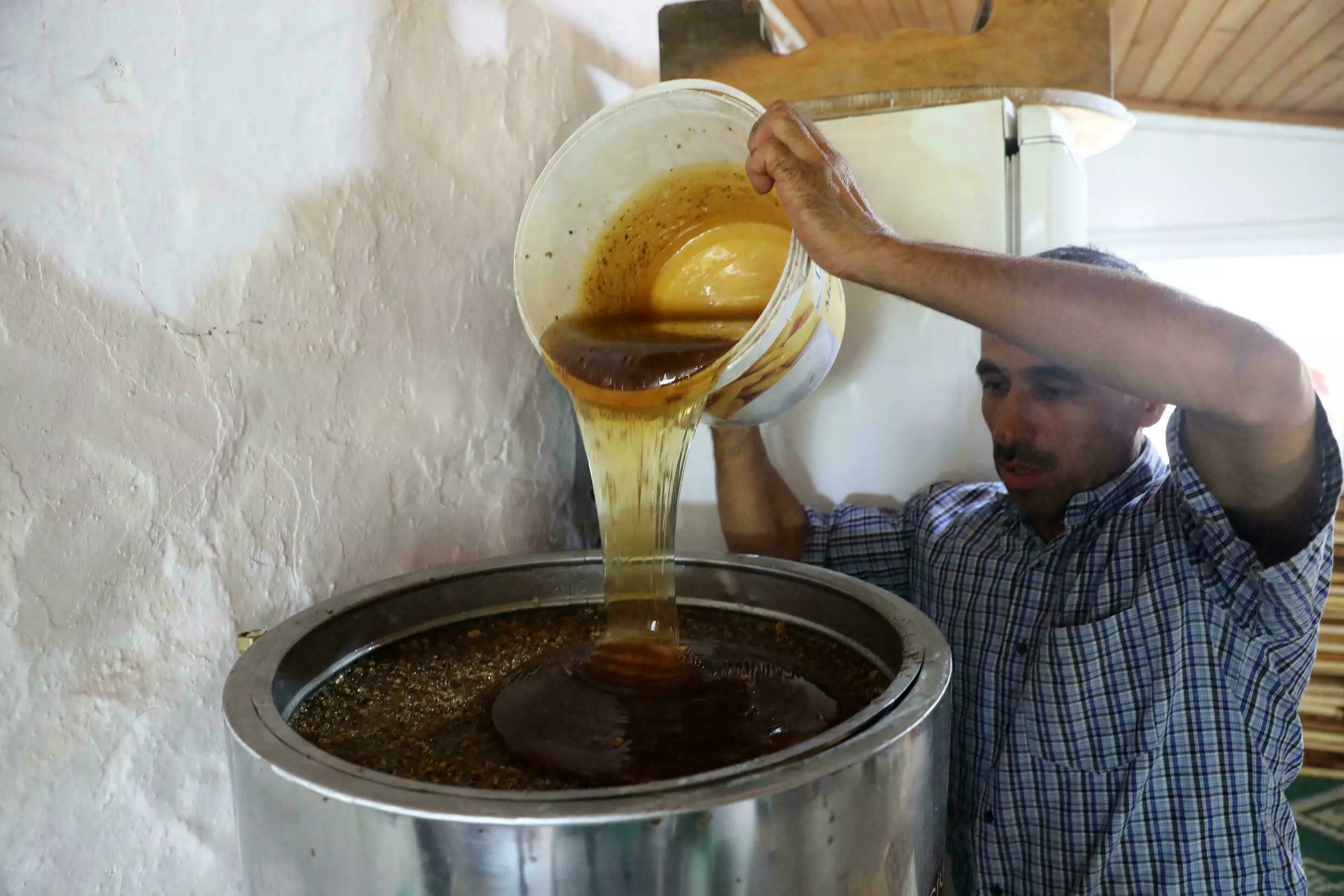 عسل کاج ترکیه