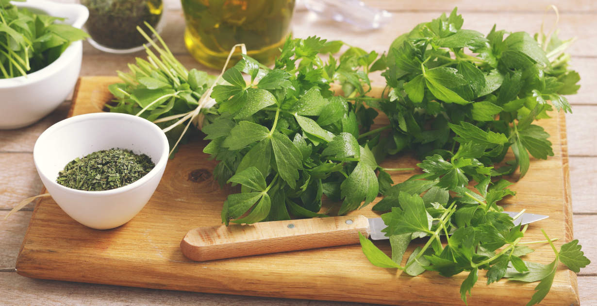 انجدان رومی: آشنایی با یک گیاه معجزه گر! (+عکس) انجدان رومی: آشنایی با یک گیاه معجزه گر! (+عکس)