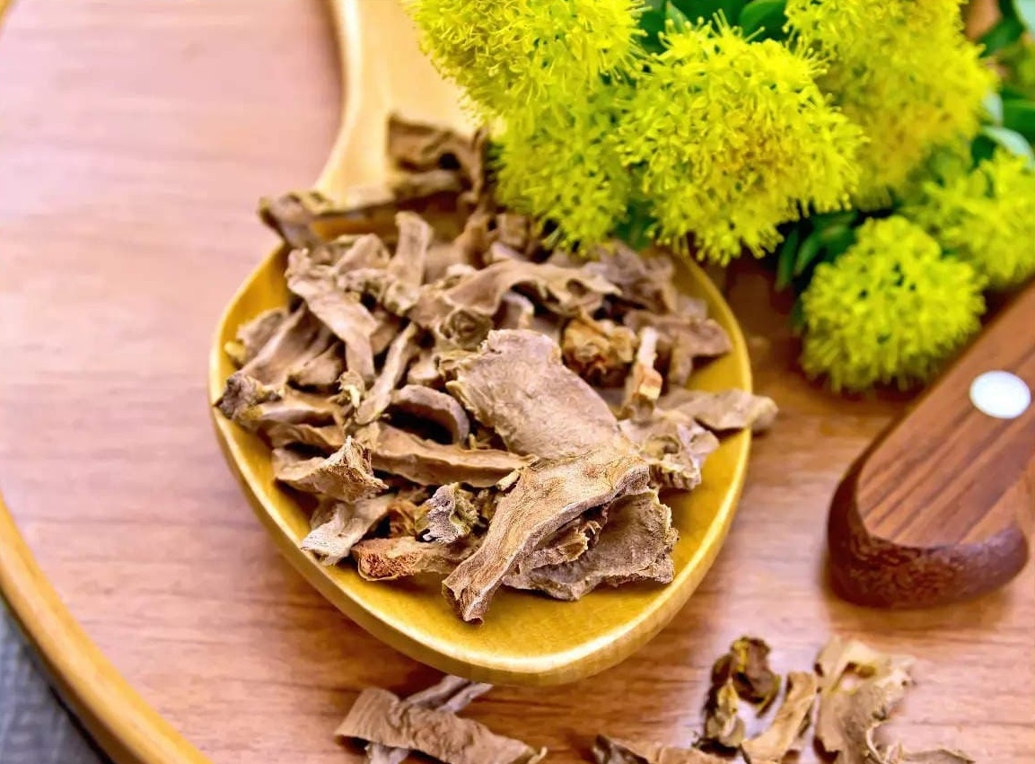 از خواص شگفت انگیز گیاه از خواص شگفت انگیز گیاه