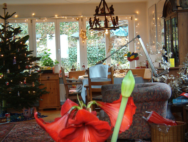 5 تست تصویری جالب برای تقویت چشم و مغز: گربه ها را پیدا کنید 5 تست تصویری جالب برای تقویت چشم و مغز: گربه ها را پیدا کنید