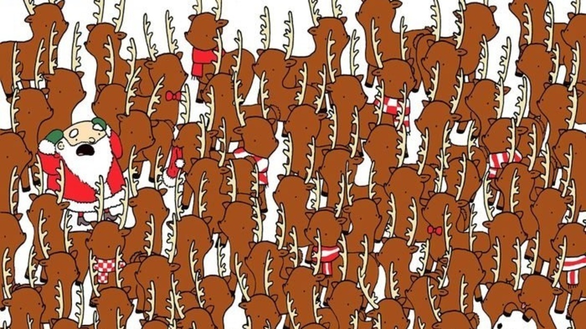 آیا می توانید خرس پنهان شده میان گوزن ها را پیدا کنید؟ (تصویر)