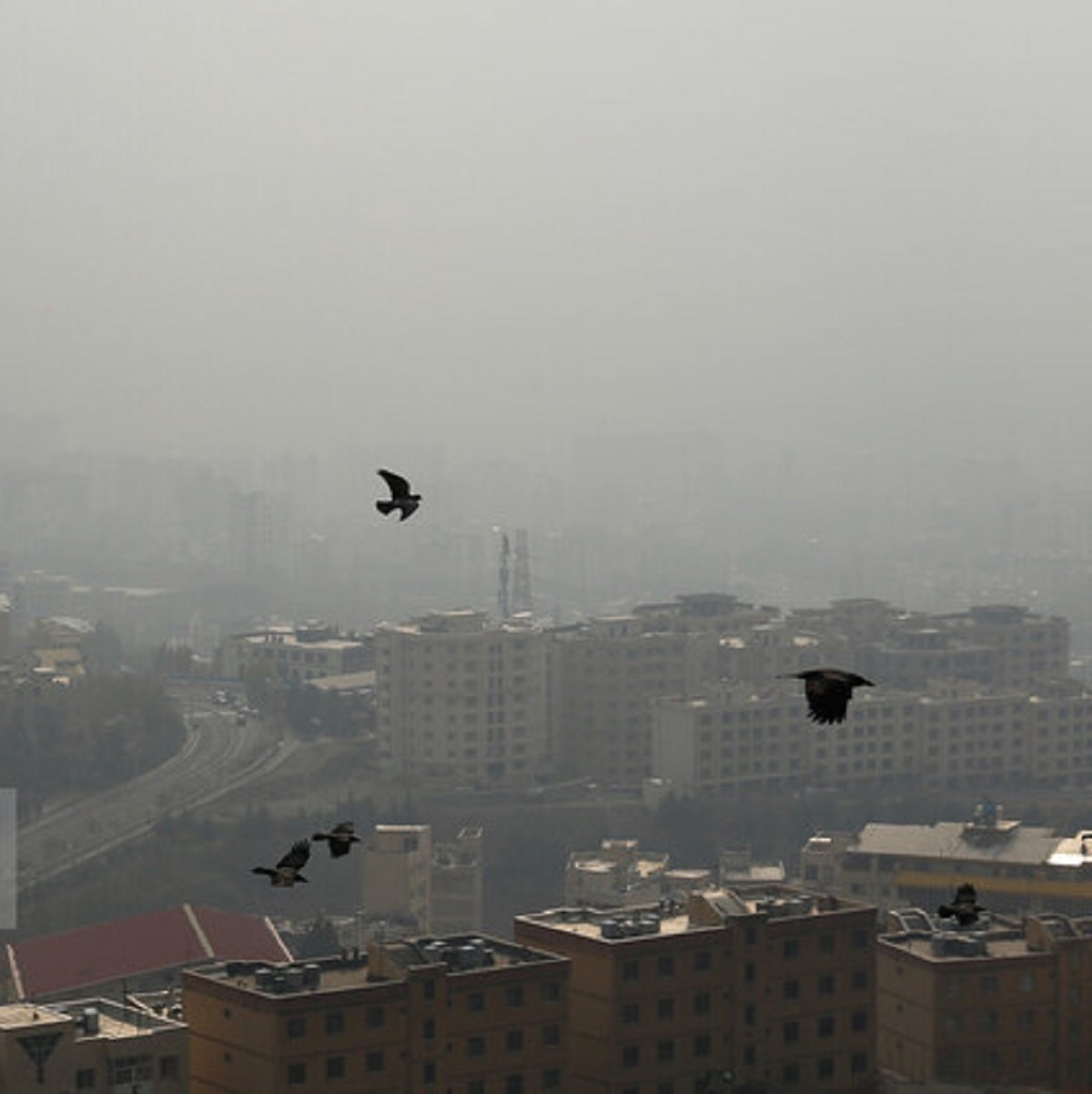 آسمان تهران همچنان غبارآلود/ پیش‌بینی بارش باران و کاهش دما از چهارشنبه