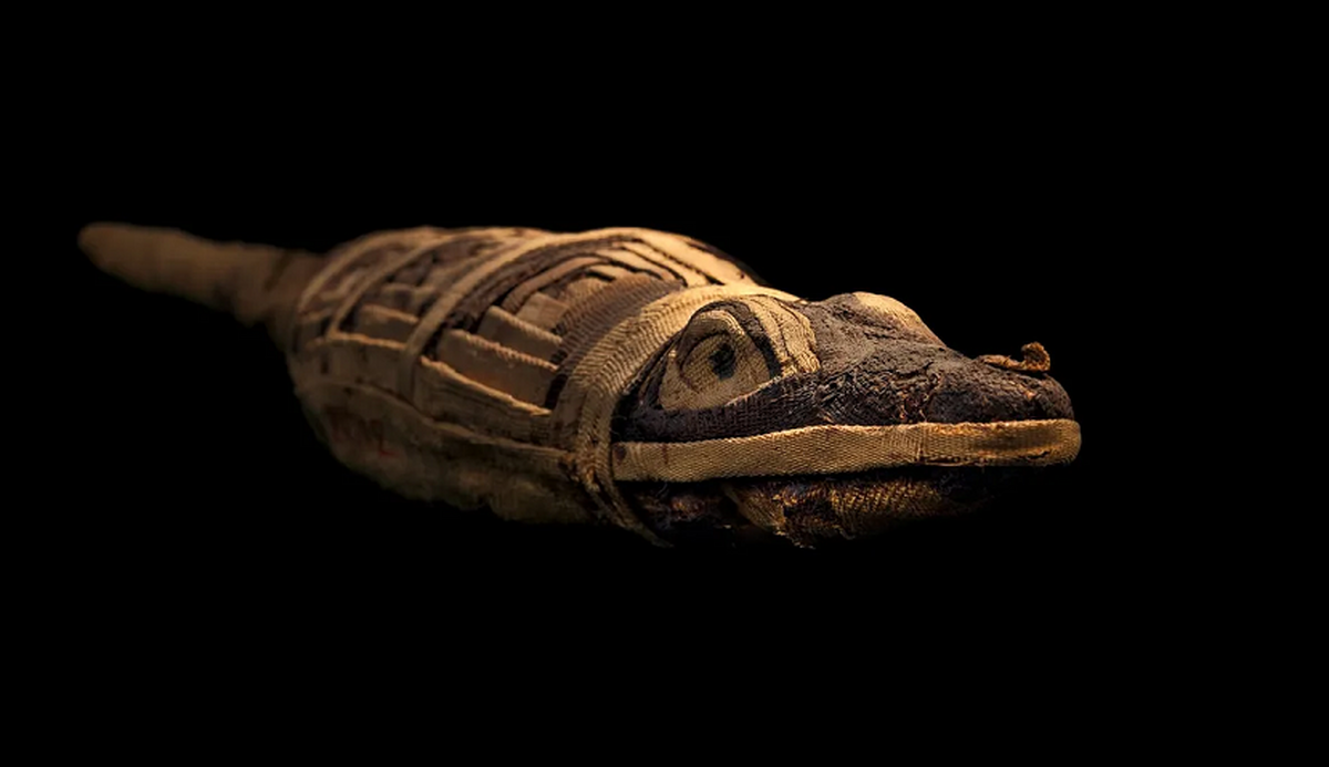 عجیب‌ترین مومیایی‌های مصر باستان را ببینید (+عکس)