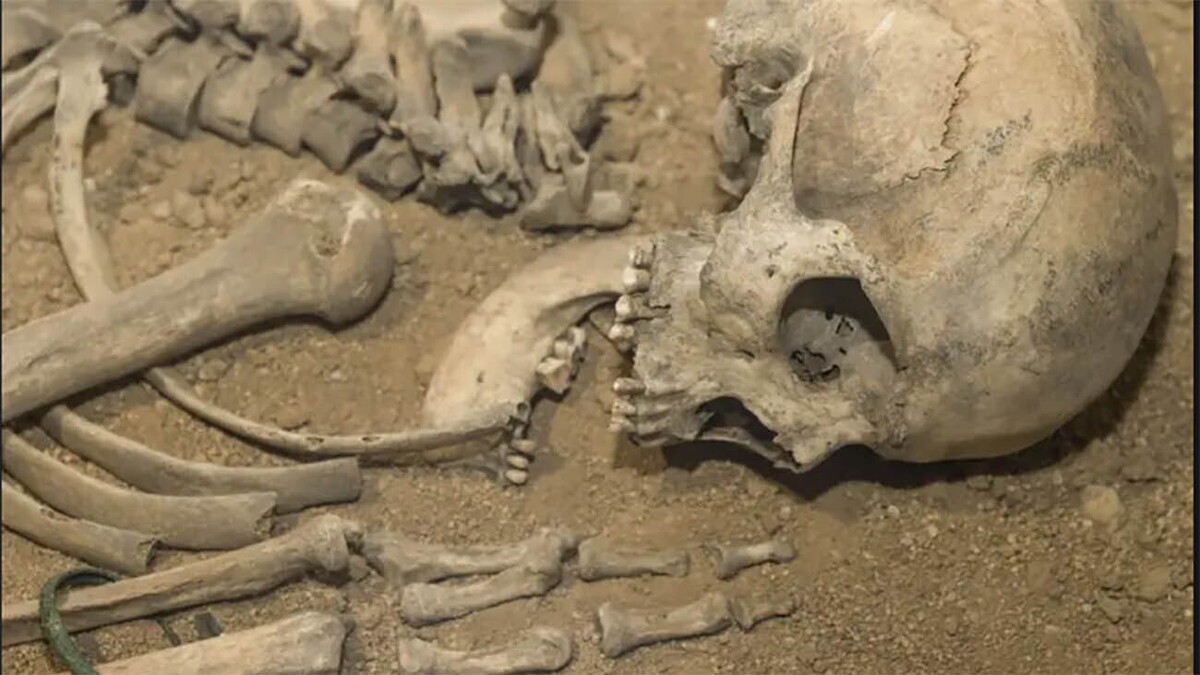 کشف استخوان‌های پسر گمشده در کوه‌های امام‌زاده داوود تهران
