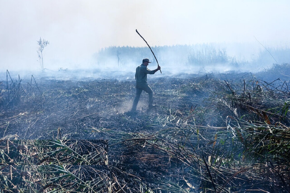 لایحه بودجه ۱۴۰۲/
تخصیص بودجه برای احیای تالاب‌های هامون و انزلی