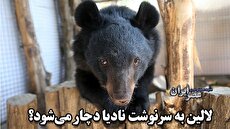 جوسپ بورل: ایران از هرگونه اعدام در آینده خودداری و سیاست ثابتی را برای لغو مجازات اعدام دنبال کند 2