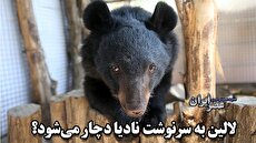 29 کشته در پی اصابت موشک روسی به شهر دنیپرو اوکراین 2