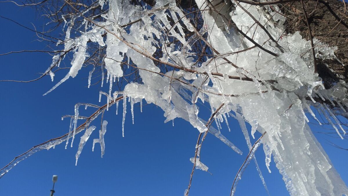 سرما دوباره خراسان رضوی را فرا می گیرد