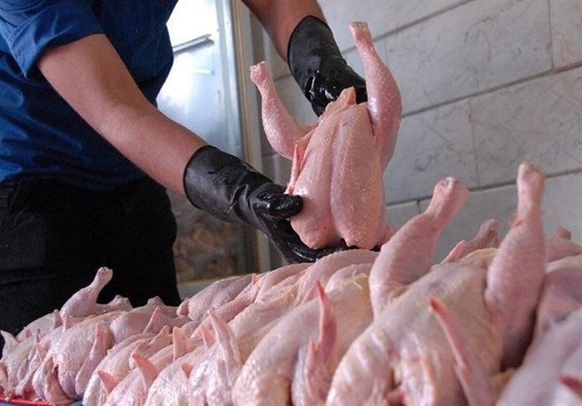 قیمت هر کیلوگرم مرغ تازه: ۴۹۵۰۰ تومان