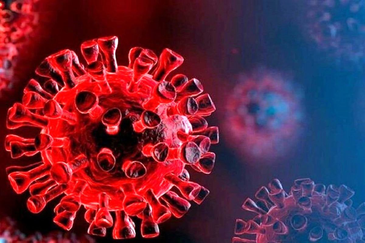 ثبت یک روز دیگر بدون فوت کرونایی در کشور