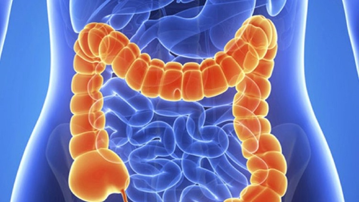 میکروب‌های روده بدون اینکه بدانیم در حال تغییر دادن ما هستند