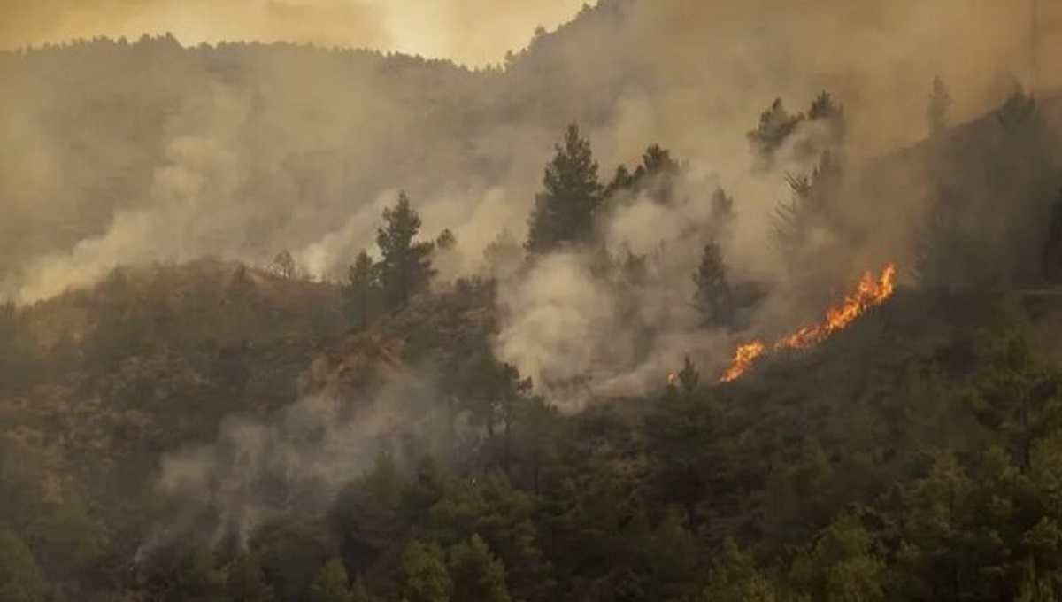 آتش سوزی های جنگلی در شیلی ۱۳ قربانی گرفت