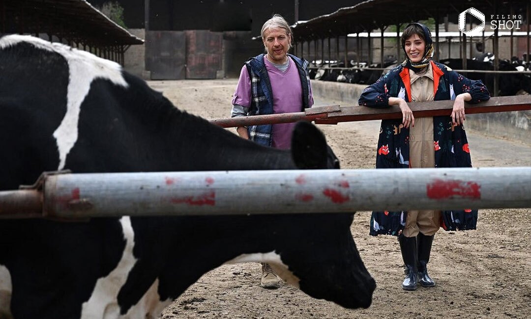 چرا گریه نمی کنی؟ روز چهارم جشنواره فجر چهل و یکم در سینما رسانه ؛ فیلمها و حاشیهها (+عکس)