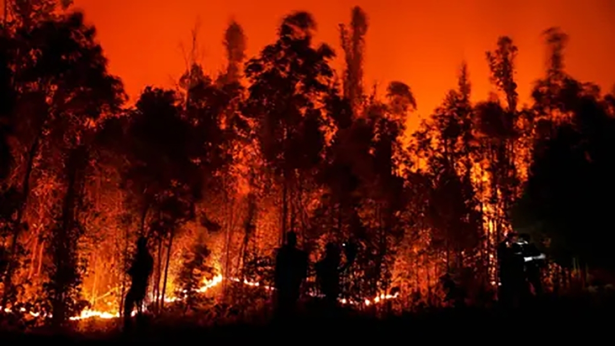 ببینید | آتش سوزی گسترده در شیلی