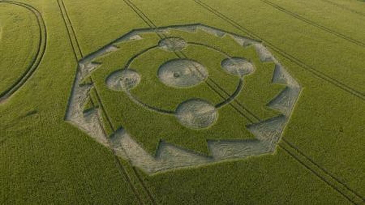 دایره‌های مزرعه؛ شوخی عجیبی که شهرت جهانی پیدا کرد