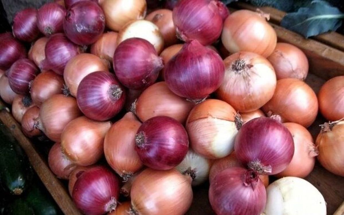 اتحادیه: قیمت هرکیلو پیاز به ۱۵ تا ۱۶ هزارتومان رسید