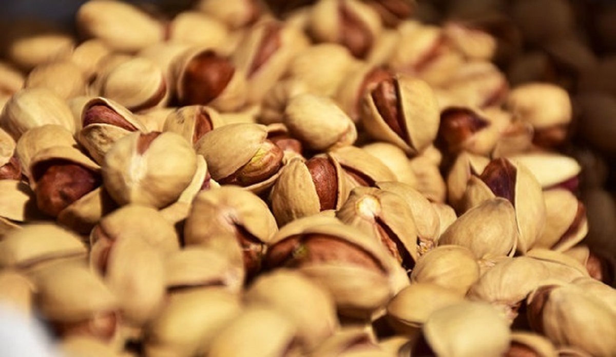 20 مشتری جهانی پسته را از دست دادیم و صادراتمان به نصف کاهش یافت