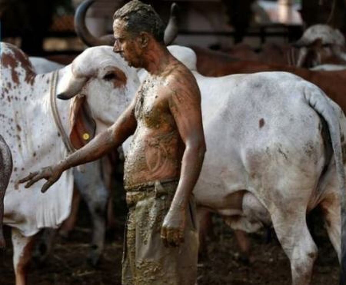 درخواست عجیب درباره مراسم روز «ولنتاین»