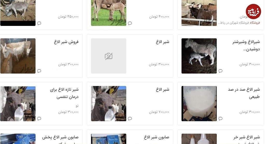 قیمت‌های باورنکردنی شیر و روغن الاغ/ محصولات الاغ نجومی شد!