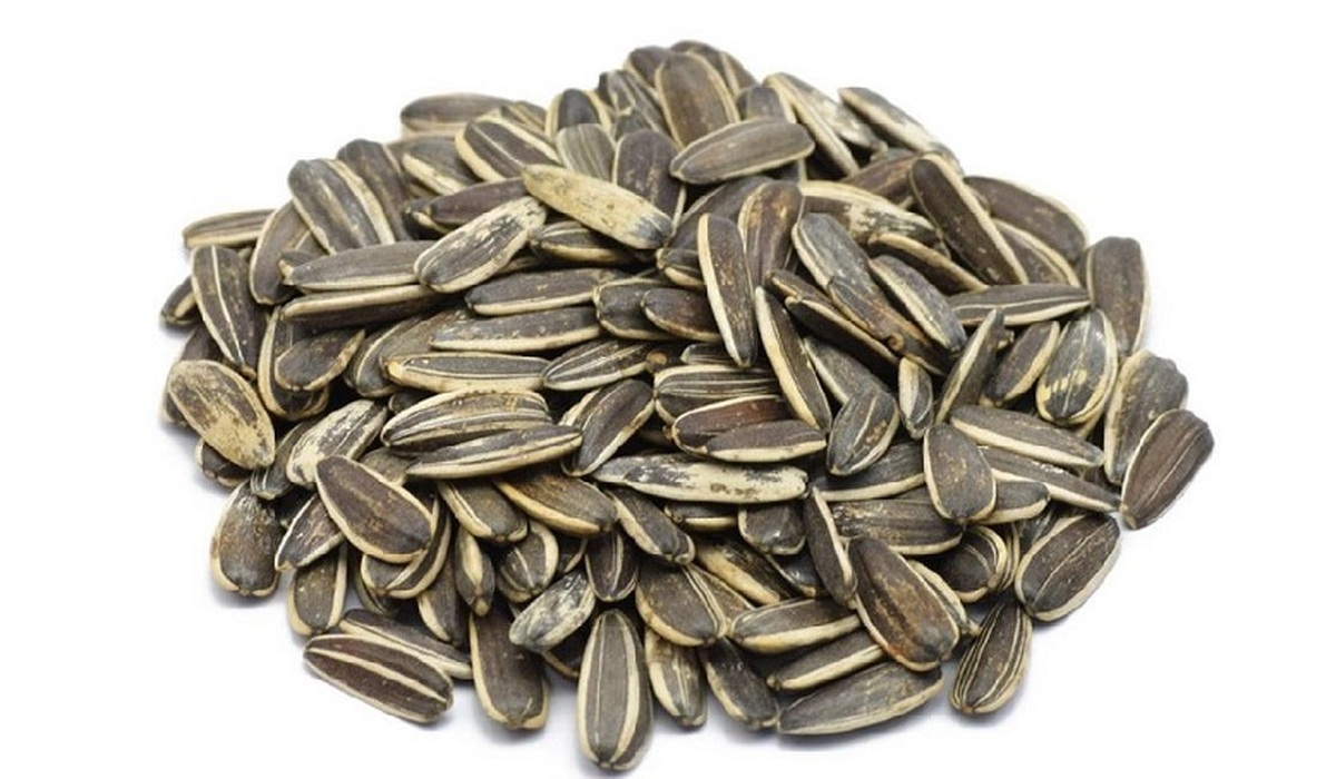 بلایی که تخمه شکستن سر لثه ها، دندان و مغز می آورد