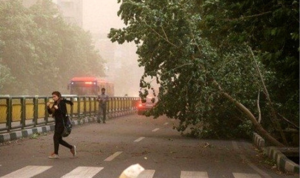 هواشناسی: وزش باد شدید در تهران/ افزایش دما از شنبه