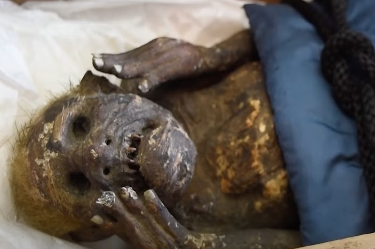 معمای پری دریایی مومیایی شده حل شد (+عکس)