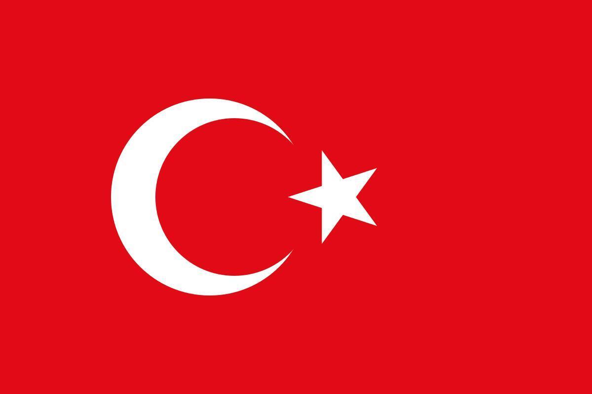 ترکیه: حمله به سفارت آذربایجان در ایران را محکوم می‌کنیم / باکو هرگز تنها نیست