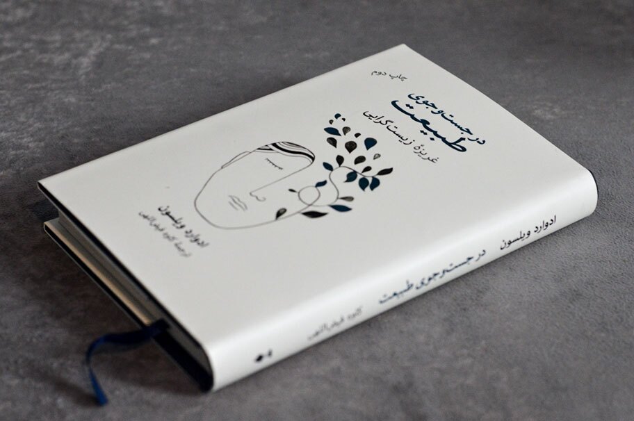 آیا مردسالاری بنیادهای علمی دارد؟ آیا مردسالاری بنیادهای علمی دارد؟