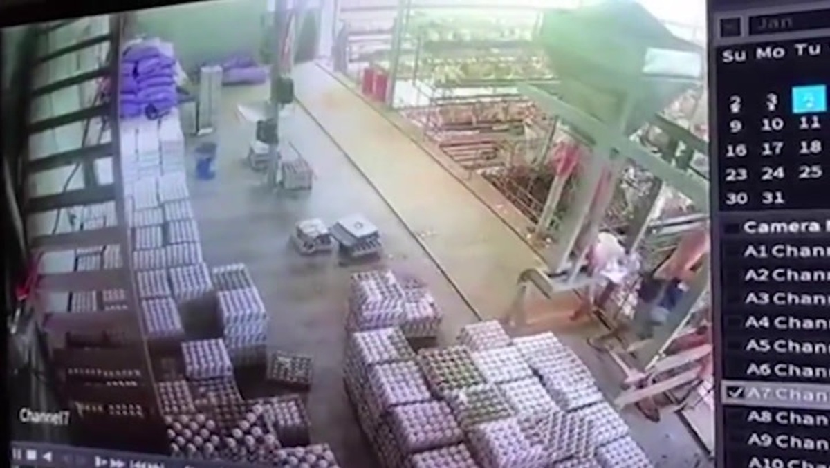ببینید| یک کارگر در ژاپن، صدها تخم‌مرغ را شکست