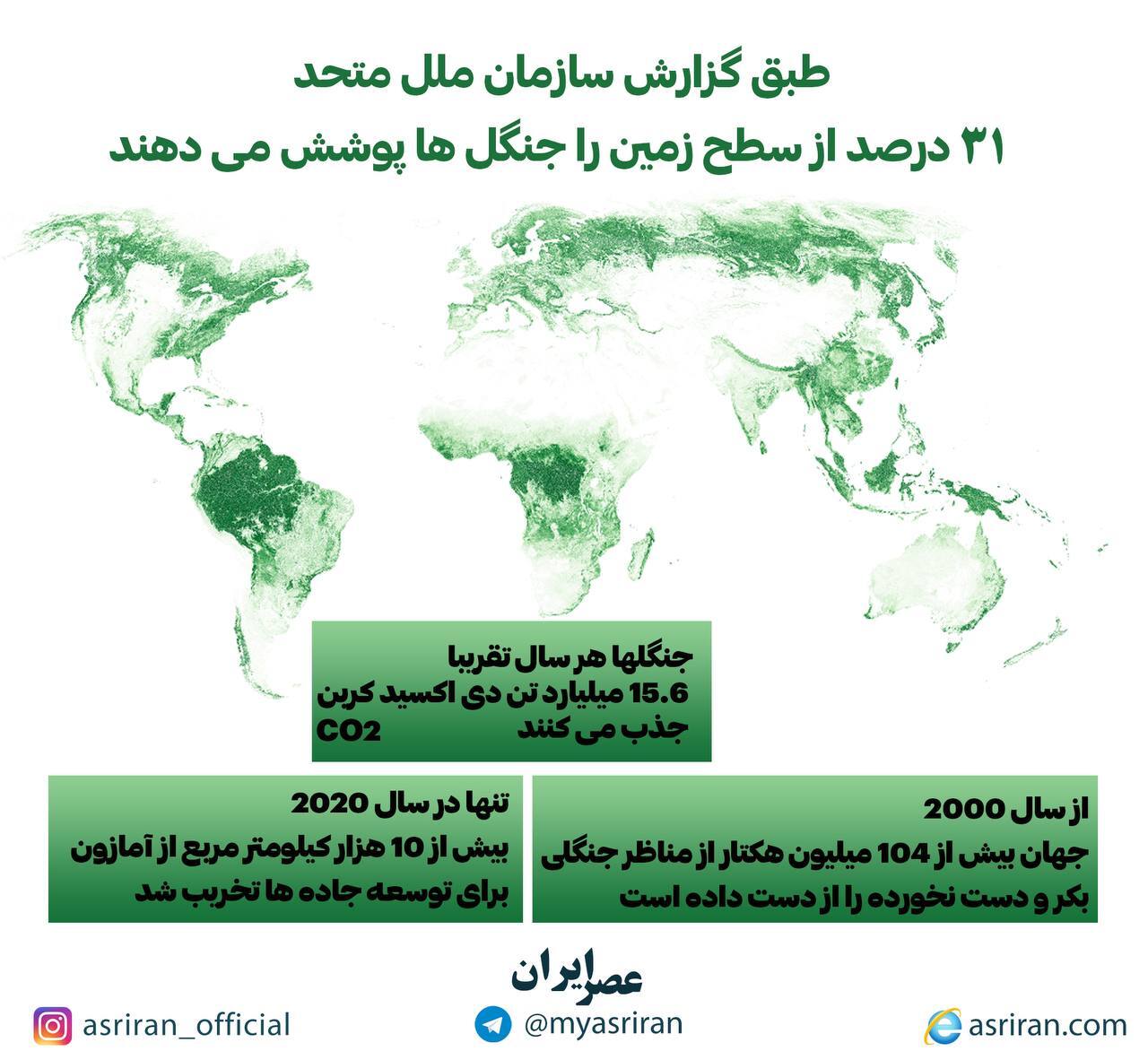 سهم 31 درصدی سطح زمین از پوشش جنگلی (اینفوگرافیک)
