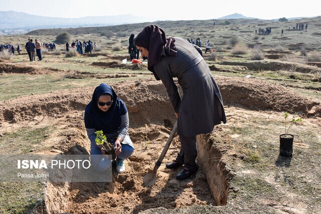 جایگاه ایران در برنامه جهانی کاشت 1 تریلیون درخت تا سال 2030