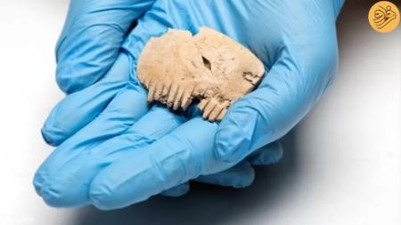 شانهای از جنس جمجمه انسان! (+عکس) شانهای از جنس جمجمه انسان! (+عکس)