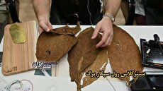 «محمد علی کلی» سوژه سریال «مورگان فریمن» 2