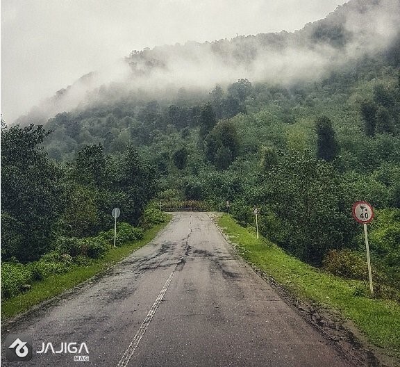 زیباترین جاده‌ها در رسیدن به کلبه‌های جنگلی ماسال