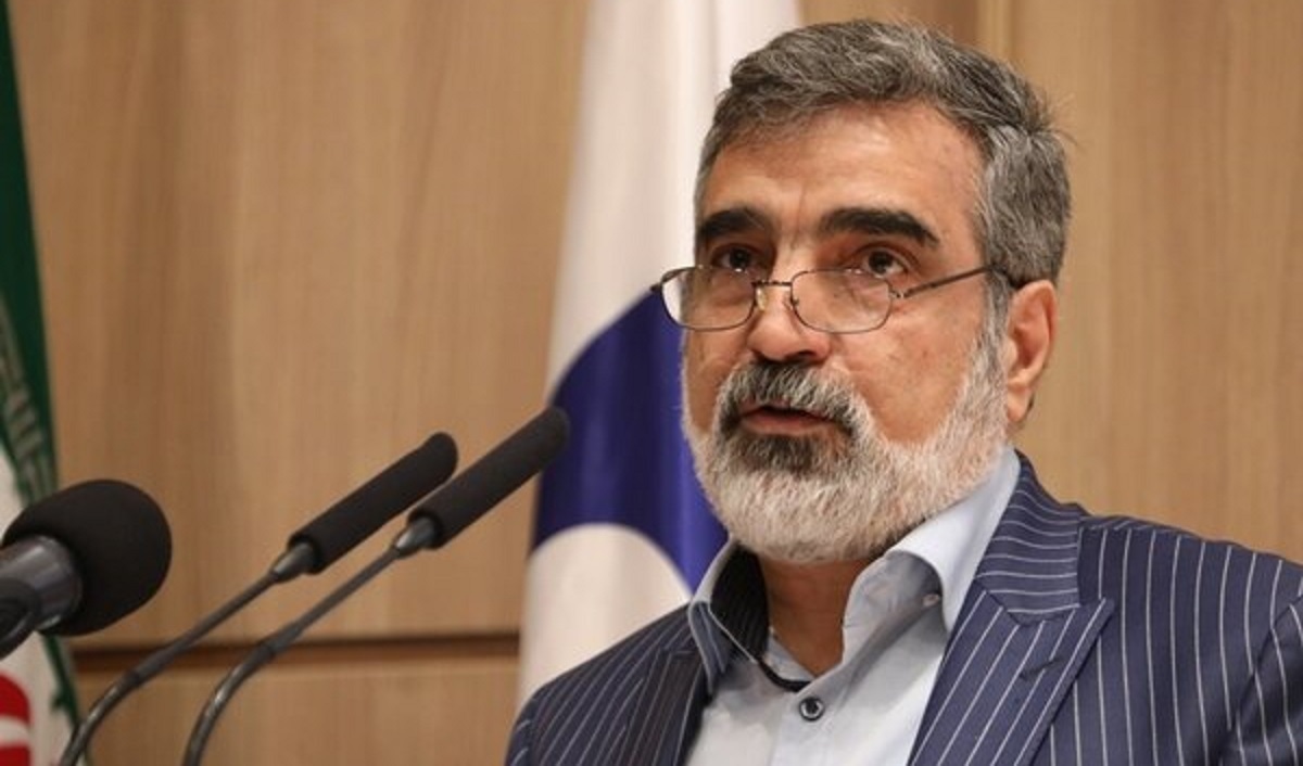 سخنگوی سازمان انرژی اتمی: در مورد سه مکان ادعایی، به آژانس پاسخ می دهیم