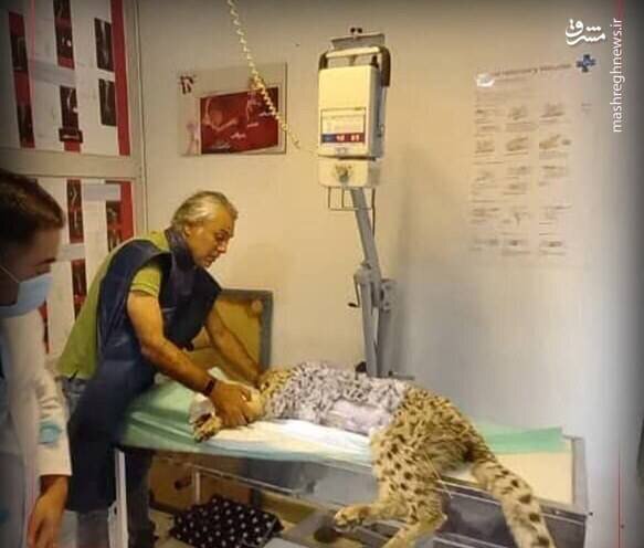 نخستین عکس از پیروز در بیمارستان